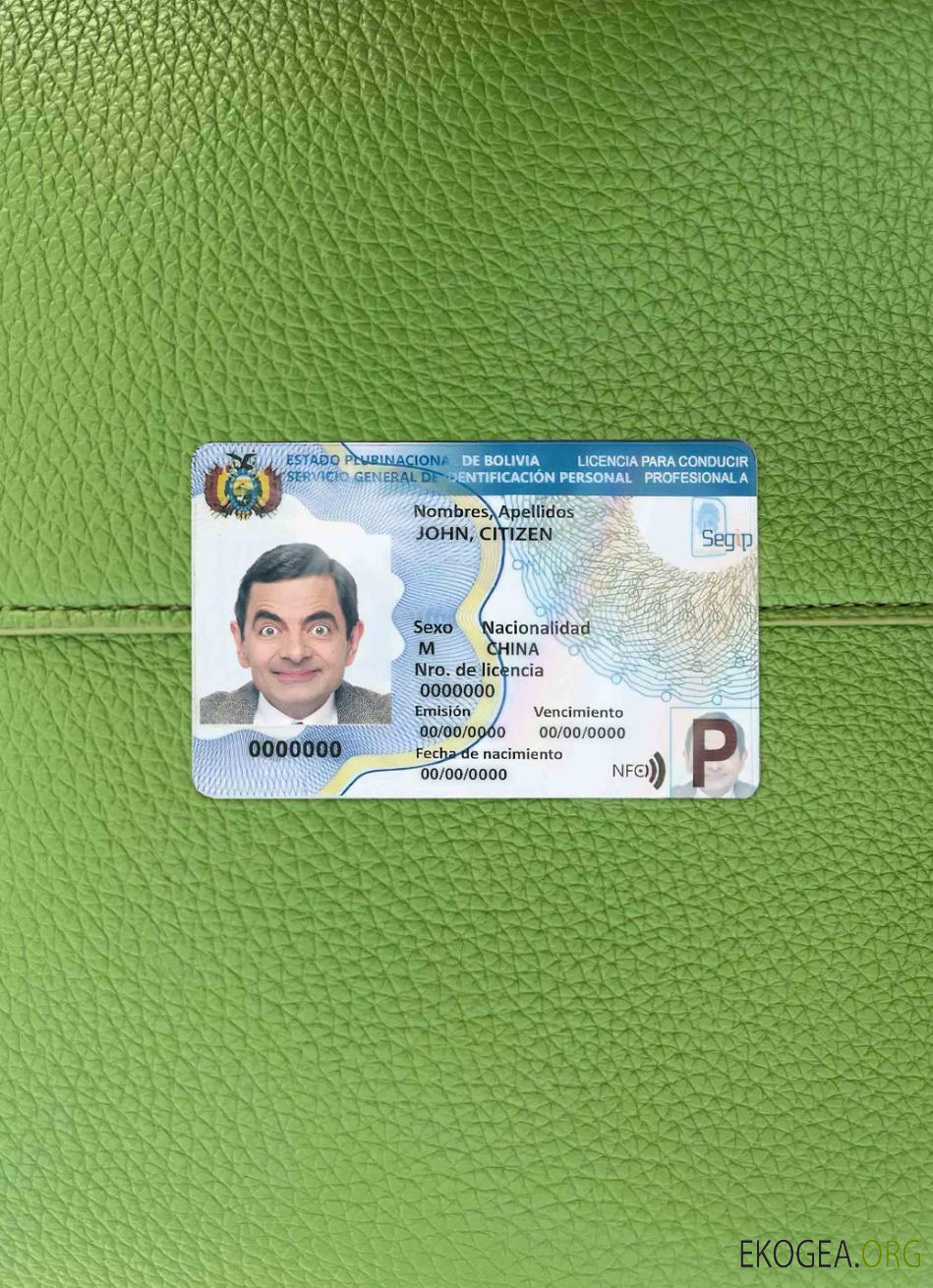 Modèle de permis de conduire bolivien (2017 – présent) photolook DEVANT